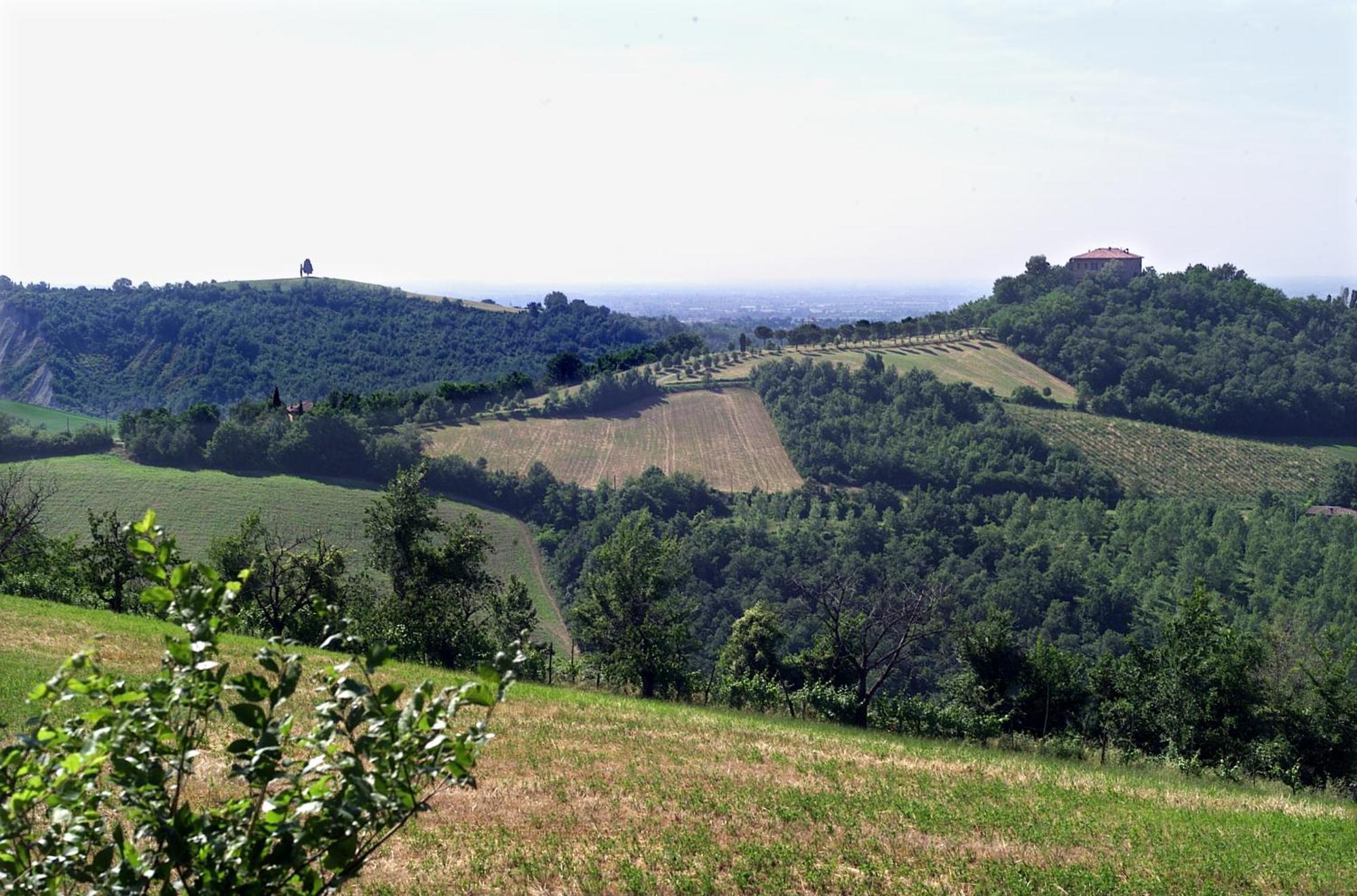 Agriturismo Montevecchio Isolani Monte San Pietro Luaran gambar
