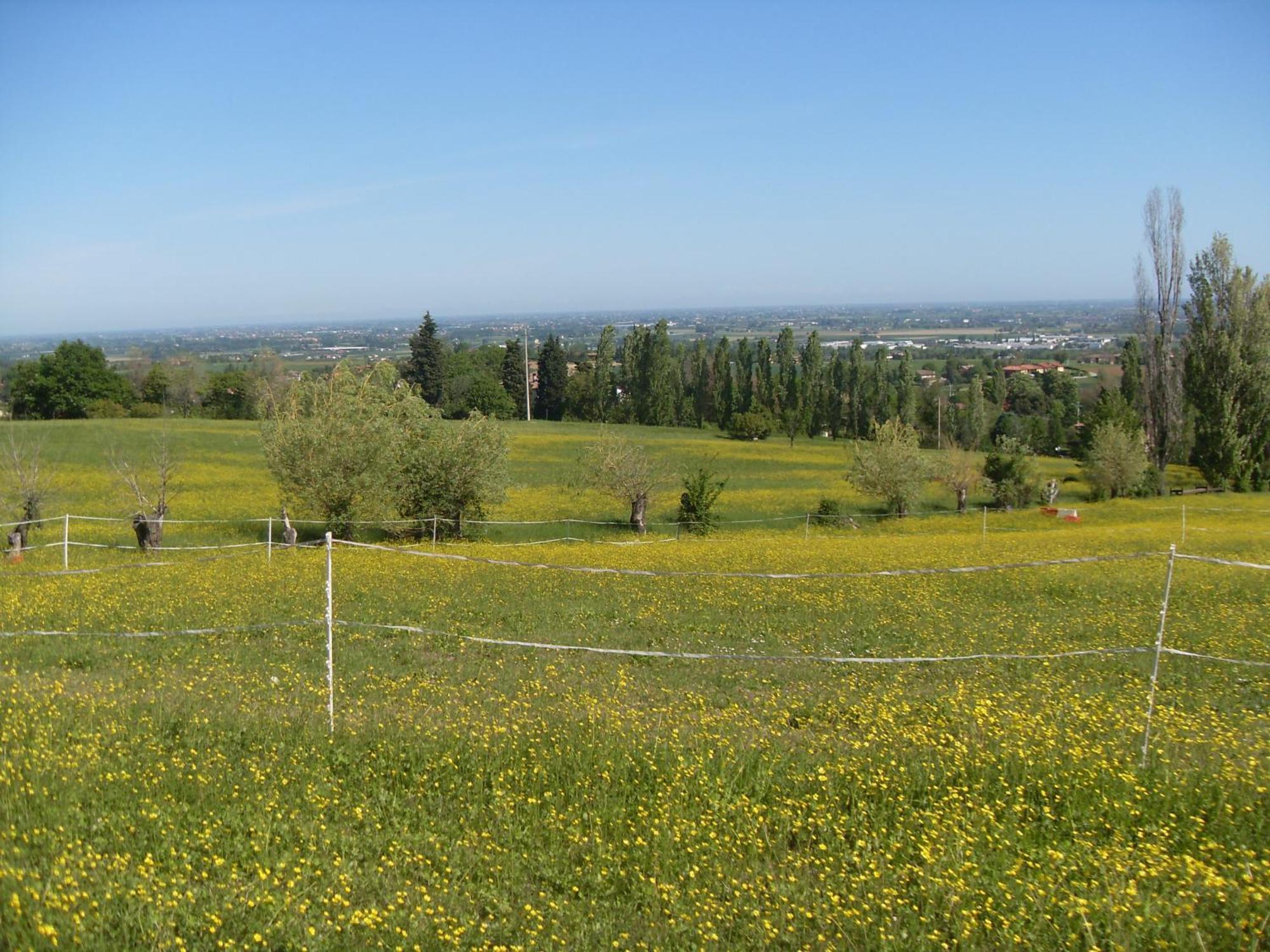 Agriturismo Montevecchio Isolani Monte San Pietro Luaran gambar