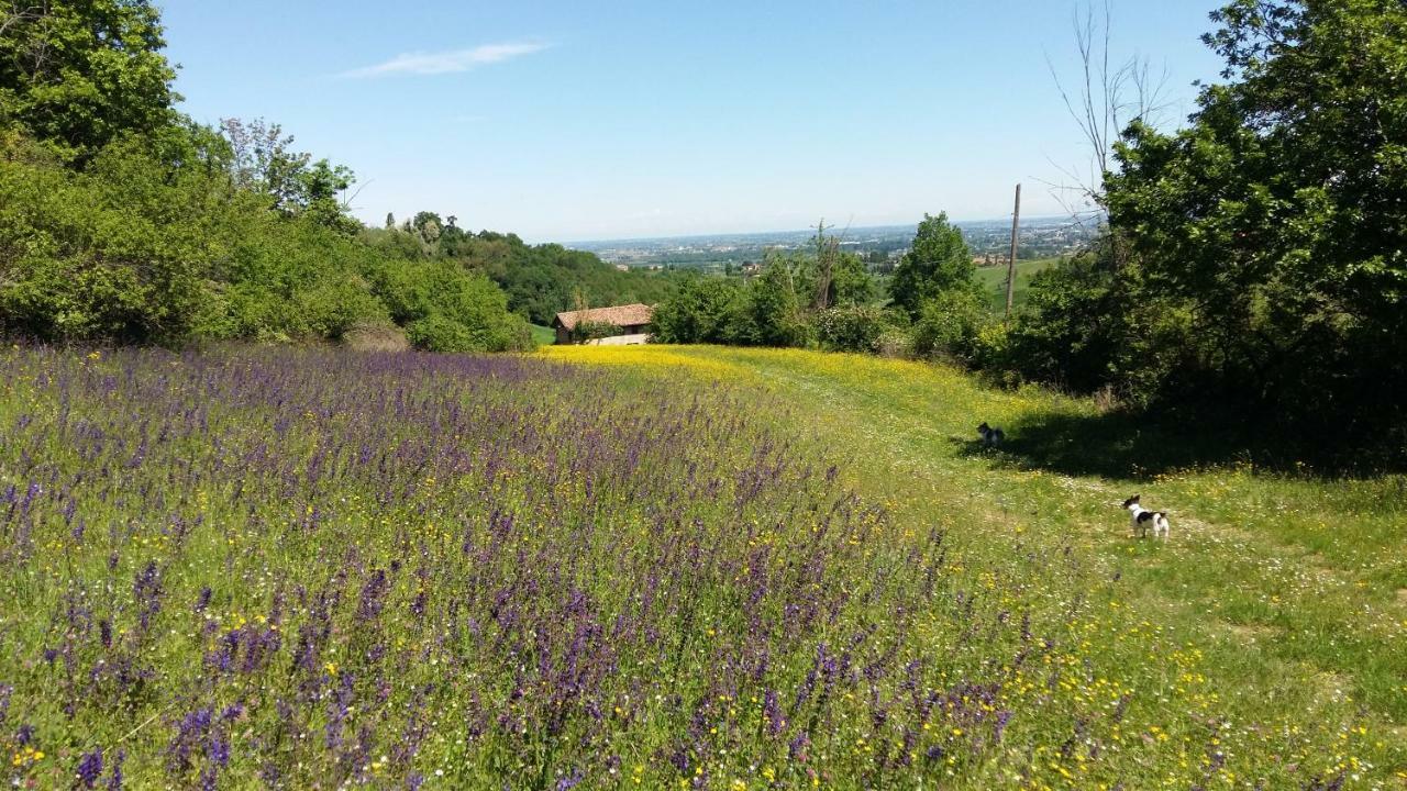Agriturismo Montevecchio Isolani Monte San Pietro Luaran gambar