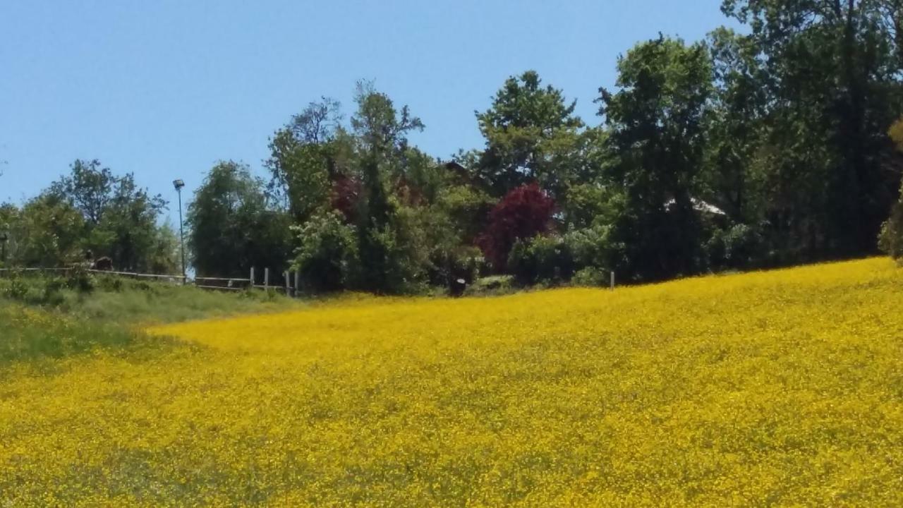 Agriturismo Montevecchio Isolani Monte San Pietro Luaran gambar
